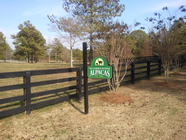 O24123 - Alpaca Sign for a Ranch