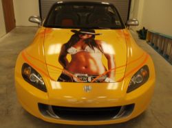 Vehicle Wrap