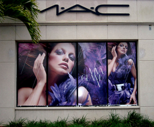 Digital Window Display