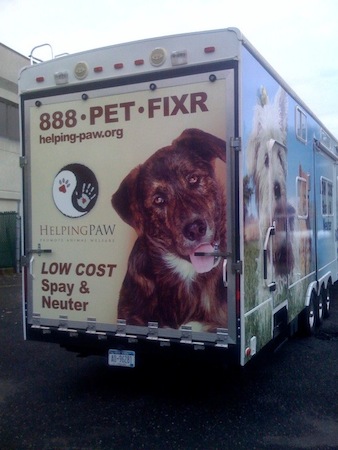 Helping Paw Rear