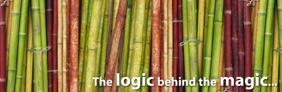 Bamboo Logic