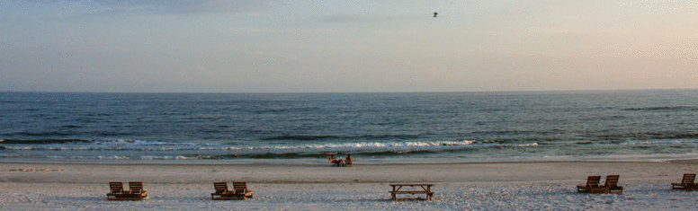 TMT Printing Postcards 48 Hours Pensacola FL