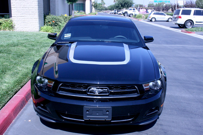 Hood Scoop Decal