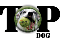 Top Dog