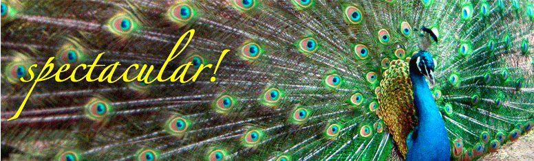 http://cdn.firespring.com/images/4/9/5/1/9/4c6dc361-9677-5468-14bf-9c60b9359b32.gif
