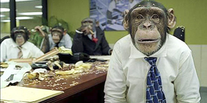Our Staff