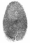 L1 Fingerprinting