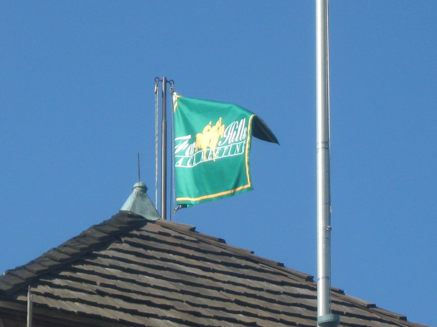 Custom Flags
