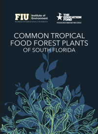 Common Tropical Food Forest Plants