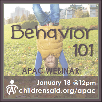 Behavior 101 (Webinar)