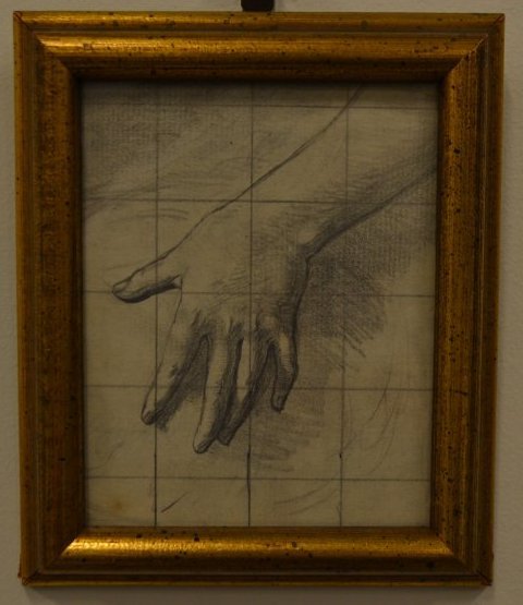 Study of Hand