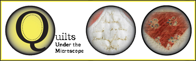 Quilts Under  the Microscope