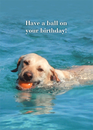 Birthday