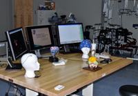 Brain Mapping