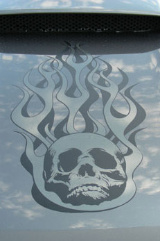 Vehicle Graphics