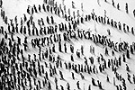 Dorota Mytych
