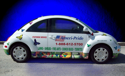 Vinyl Cut Graphic VW Beetle 