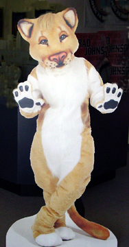 Promotional Displays