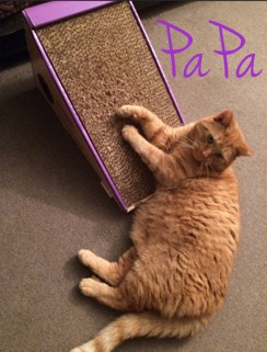 PaPa