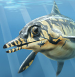 TAPHONOMY OF A NOSE DIVE: BONE AND TOOTH DISPLACEMENT AND MINERAL ACCRETION IN AN ICHTHYOSAUR SKULL 