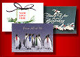 Order Your Holiday Cards Now