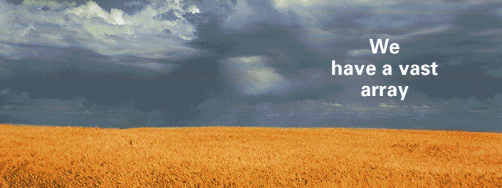 http://cdn.firespring.com/images/5/2/3/5/c/5020b2a3-2e0b-3c0c-5c70-cf87d63ba9f6.gif