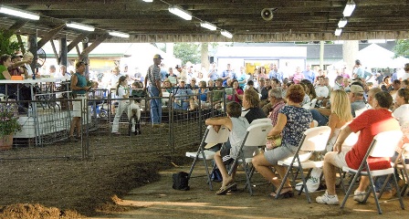 QA County Fair
