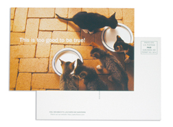 Direct Mail Printing