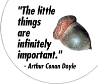 http://cdn.firespring.com/images/5/8/0/6/f/5eea449c-890a-0cc3-630c-f2efcd128cb3.gif