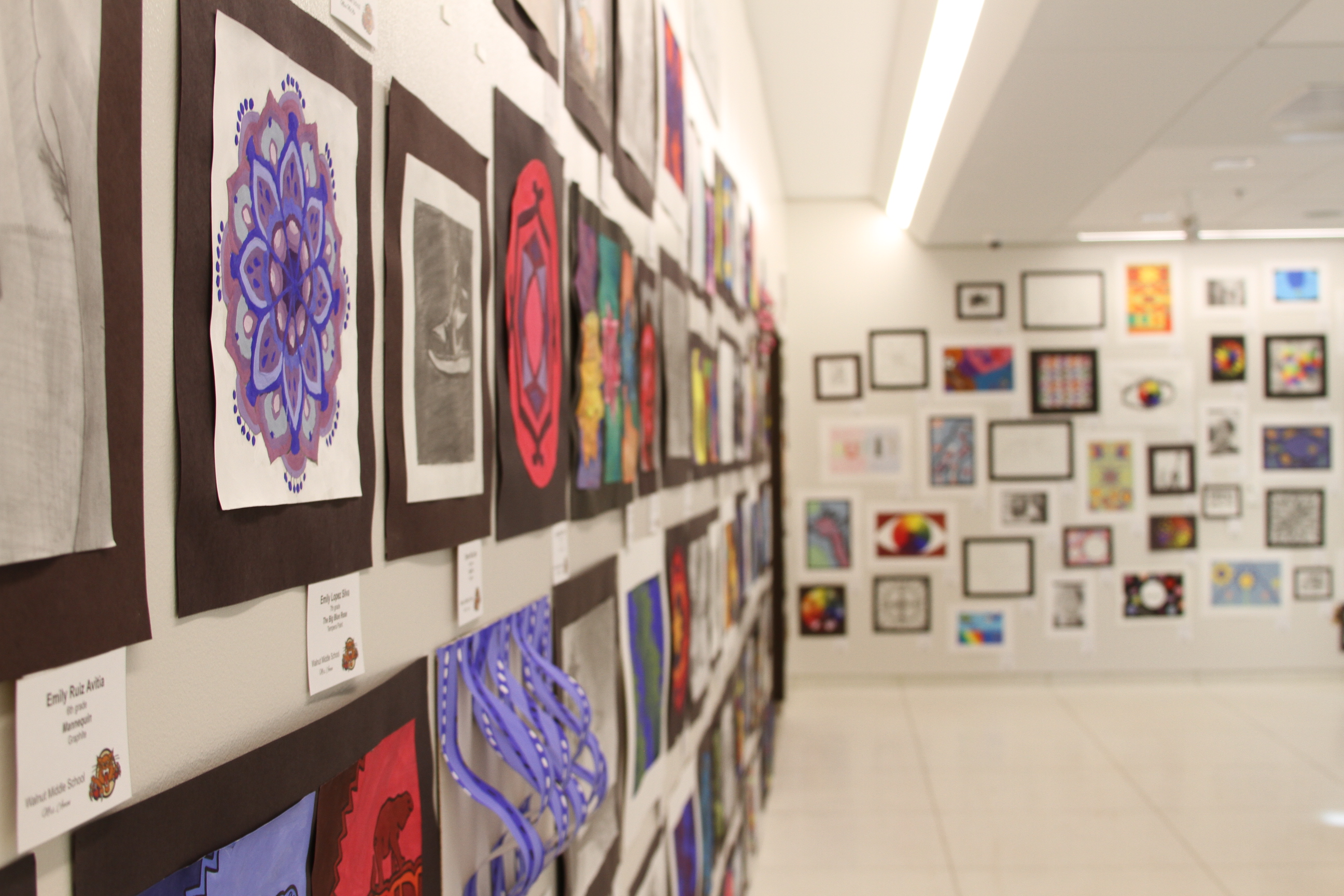 Hall County Student Art Show Reception