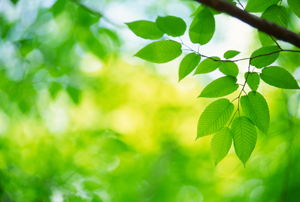 Eco Friendly Sign Materials