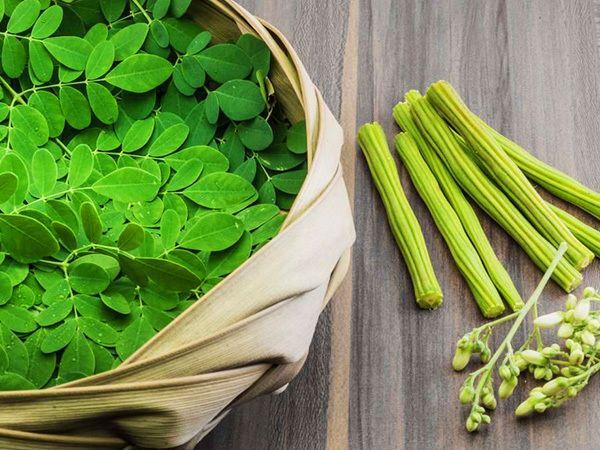 Moringa