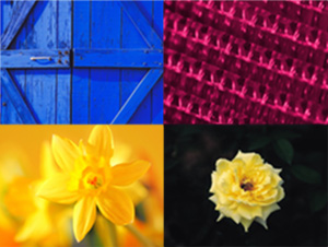 Digital Color Printing