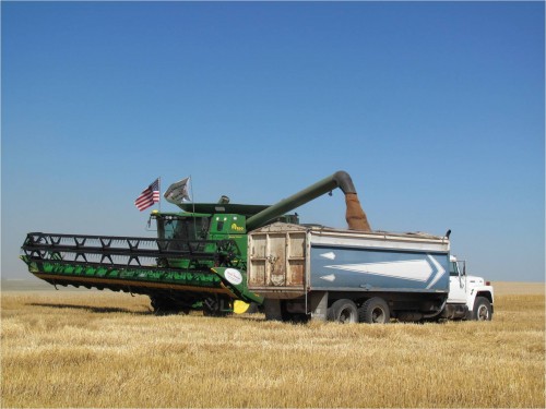 Unloading Grain