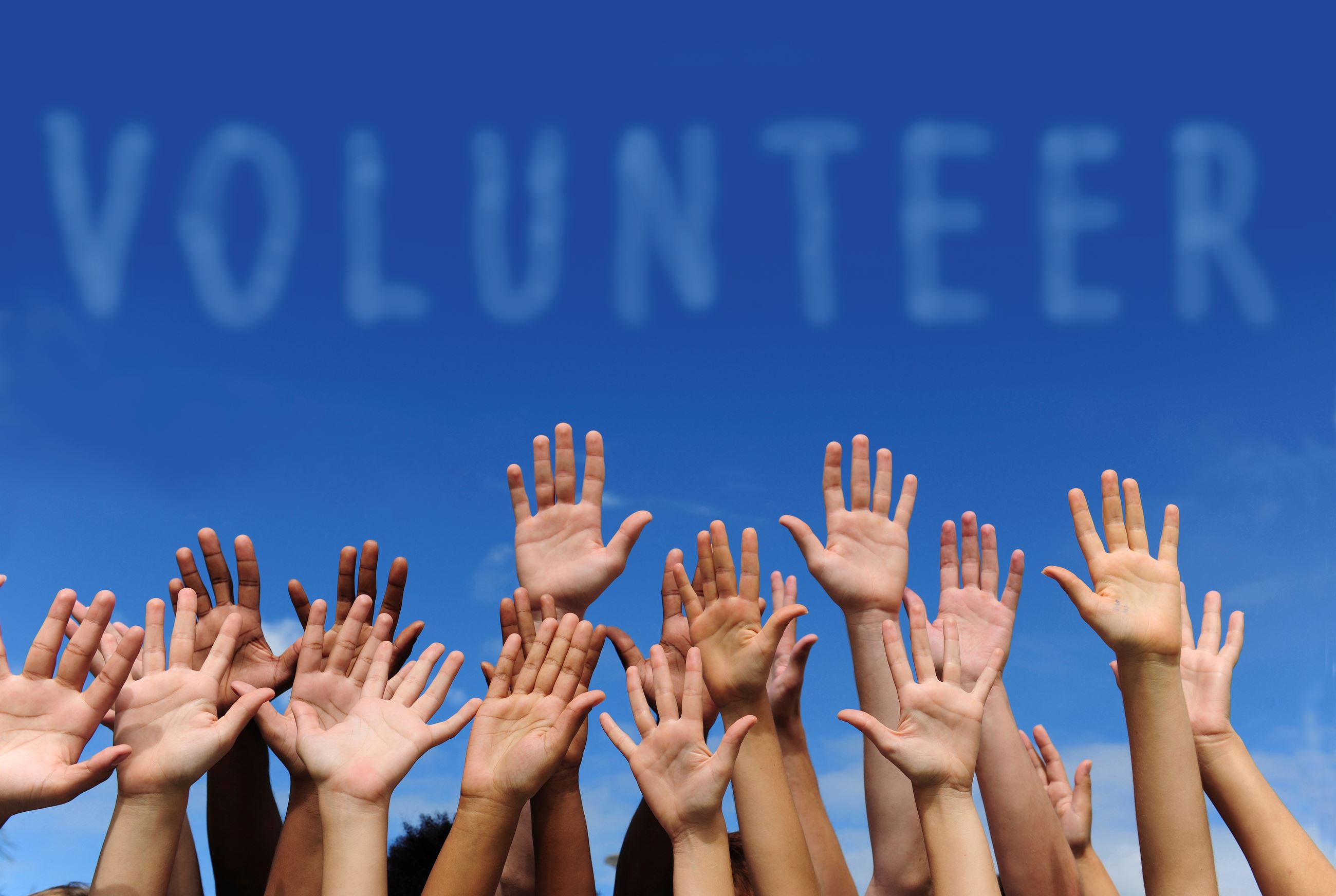 Leaders Volunteer