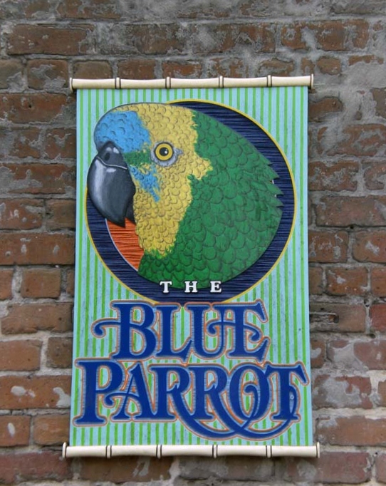 Blue Parrot