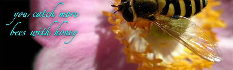 http://cdn.firespring.com/images/6/2/c/5/f/657d84eb-2e2c-c576-55f2-f25b767131a8.gif