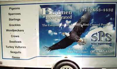 Vehicle Wrap
