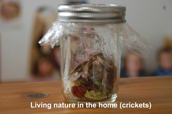 Living Nature