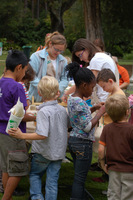 summer camp aldridge gardens hoover