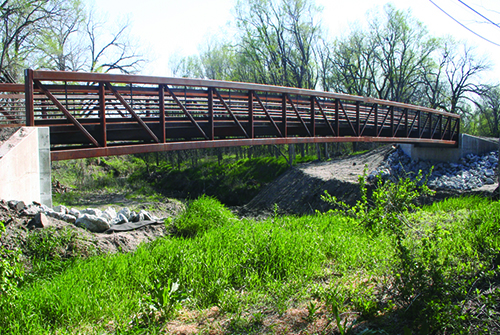 Bison Trail