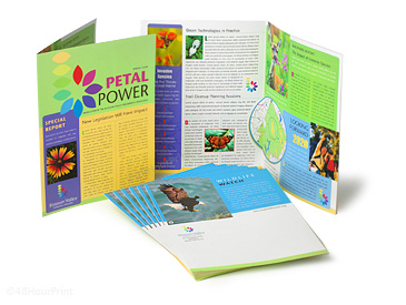 15 Newsletters