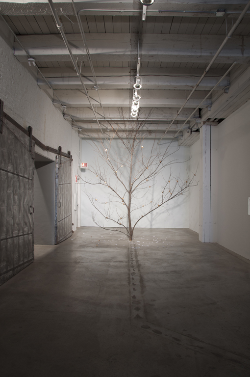 Bemis Center for Contemporary Arts Exhibitions Exhibitions