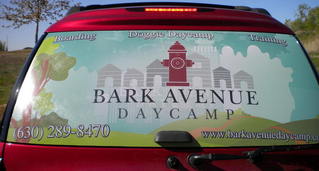 Testimonial from Bark Avenue Daycamp