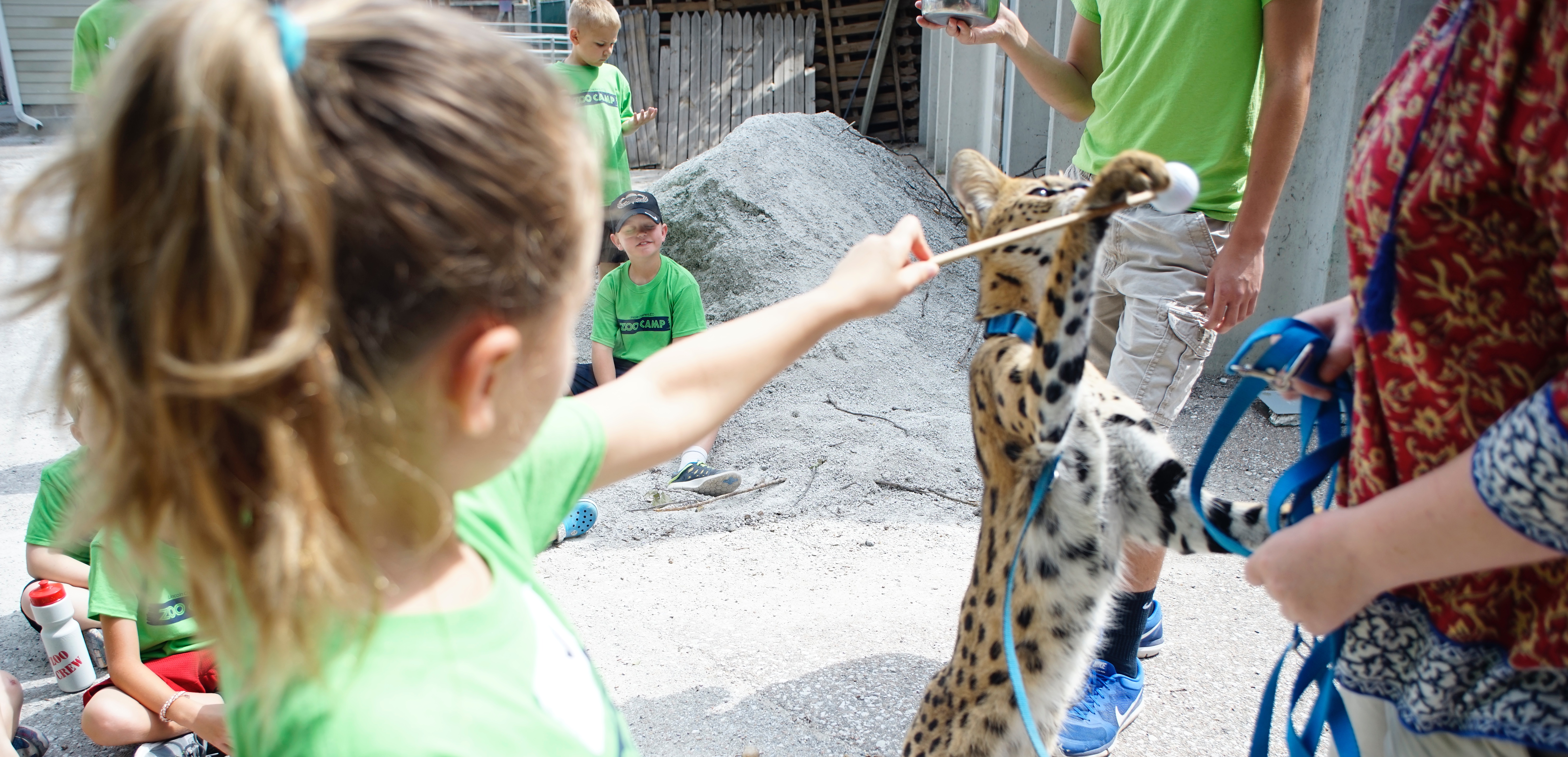 Summer Zoo Camps