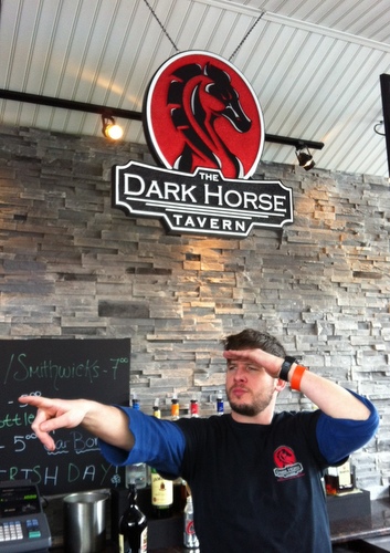 Y27543 - "Dark Horse" Carved Tavern Sign, Installed as an Indoor  Hanging Sign over the Bar