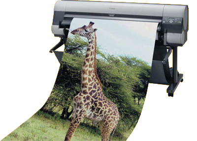 Large Format Poster Printing