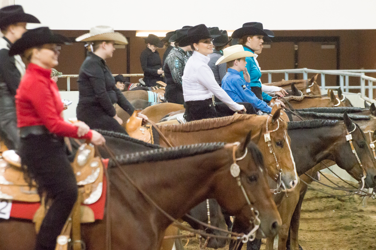 Arkansas Quarter Horse Association Home