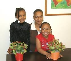 Toni, toni, mecca