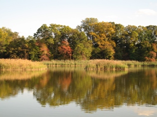 Get Involved with Other Local Conservation Organizations